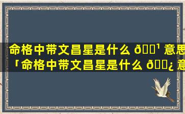 命格中带文昌星是什么 🌹 意思「命格中带文昌星是什么 🌿 意思啊」